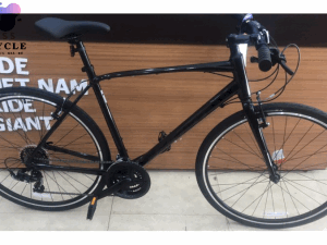 Xe đạp GIANT 2020 ESCAPE 3
