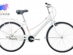 XE ĐẠP NỮ INEED COLORFUL 26 2021