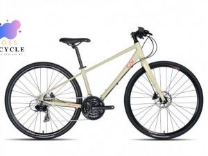 XE ĐẠP GIANT LIV ALIGHT 1 2020