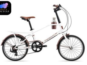 xe đap đường phố