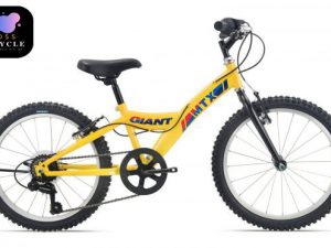 xe đạp trẻ em MTX 20 2021