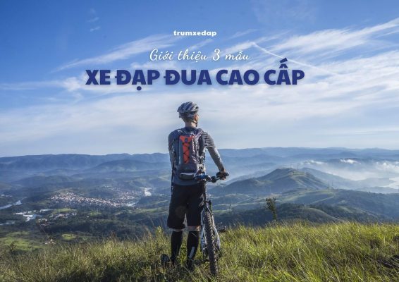 Giới thiệu 3 mẫu xe đạp đua cao cấp mới nhất