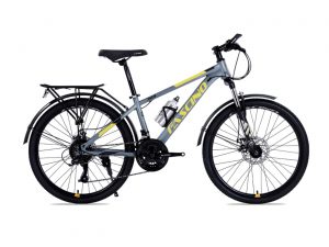 Xe Đạp Địa Hình MTB Fascino 323