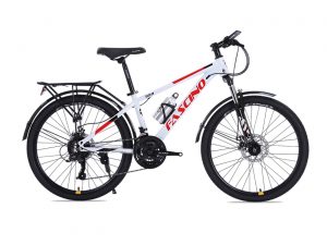 Xe Đạp Địa Hình MTB Fascino 323