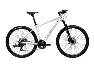 Xe Đạp Địa Hình MTB Life MX3000