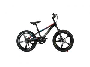 Xe Đạp Địa Hình MTB Trẻ Em Borgki 22 Inch