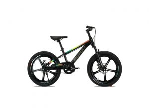 Xe Đạp Địa Hình MTB Trẻ Em Borgki 22 Inch