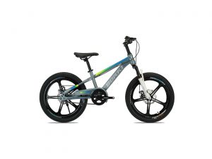 Xe Đạp Địa Hình MTB Trẻ Em Borgki 22 Inch