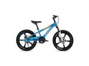 Xe Đạp Địa Hình MTB Trẻ Em Borgki 22 Inch