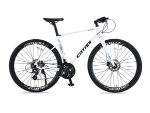 Xe Đạp Touring Catani CA-6.3
