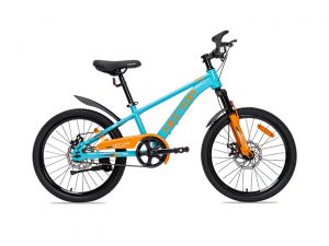 Xe Đạp Trẻ Em Bé Trai Hector Ares 20 Inch