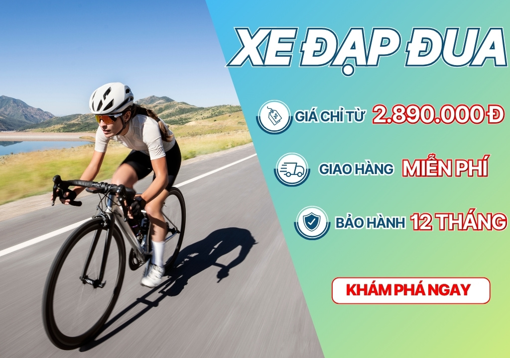 Xe Đạp Đua Chính Hãng