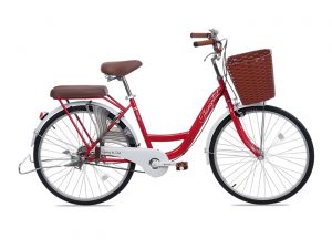 Xe Đạp Nữ Thống Nhất New 24
