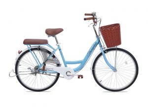 Xe Đạp Nữ Thống Nhất New 24