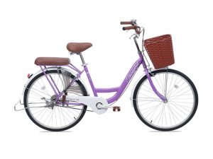 Xe Đạp Nữ Thống Nhất New 26