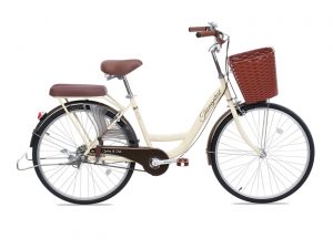 Xe Đạp Nữ Thống Nhất New 26