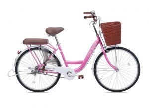 Xe Đạp Nữ Thống Nhất New 26