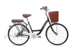 Xe Đạp Nữ Thống Nhất New 26