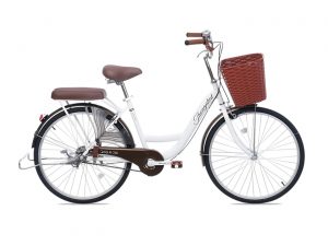 Xe Đạp Nữ Thống Nhất New 26